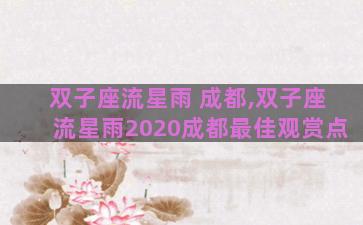 双子座流星雨 成都,双子座流星雨2020成都最佳观赏点